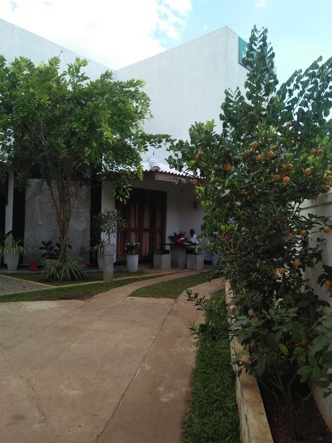 Tree House Holiday Home Kombichankulama Ngoại thất bức ảnh