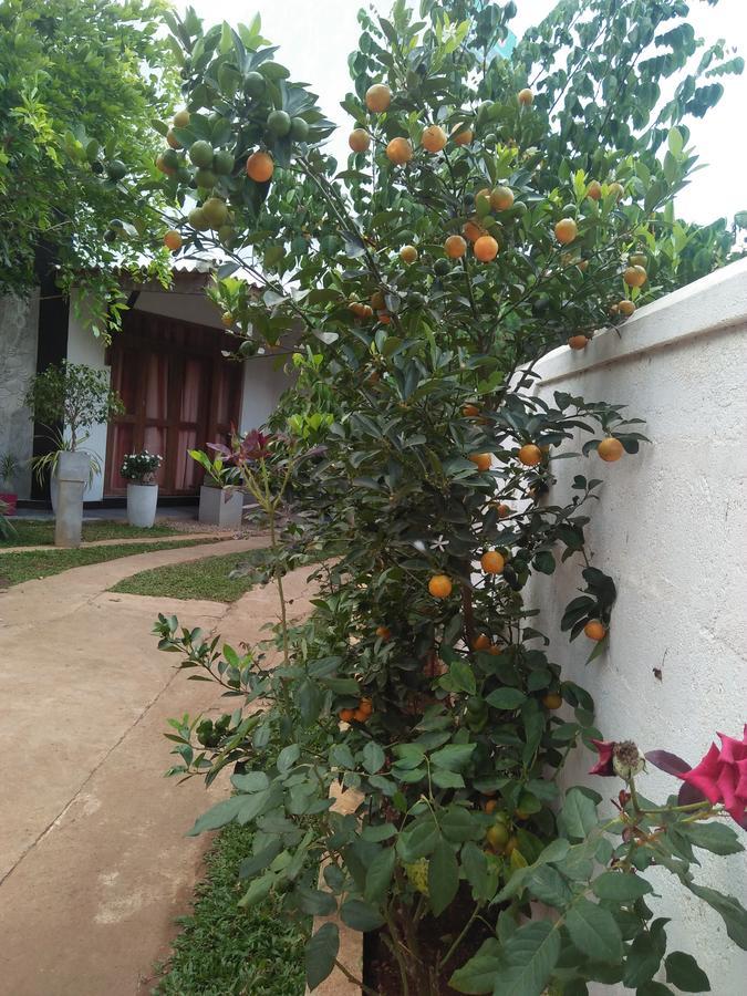 Tree House Holiday Home Kombichankulama Ngoại thất bức ảnh